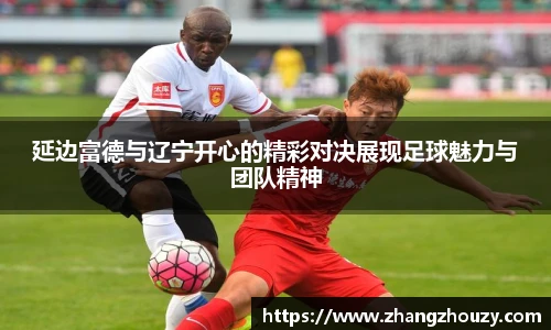 延边富德与辽宁开心的精彩对决展现足球魅力与团队精神