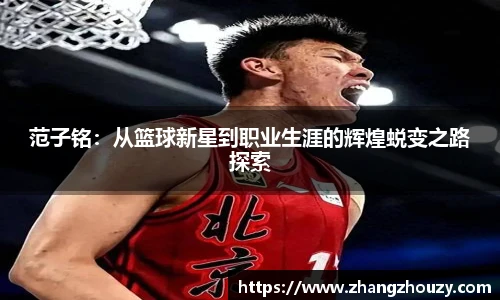 范子铭：从篮球新星到职业生涯的辉煌蜕变之路探索